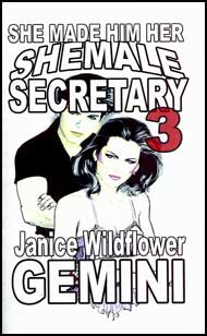 She Made Him Her Shemale Secretary Book 3 by Janice Wildflower Gemini mags, inc, crossdressing stories, transvestite stories, female domination, stories, Janice Wildflower Gemini